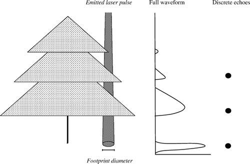 Figure 2.  Data recorded from an individual laser pulse emitted by small-footprint full-waveform lidar (the entire backscatter is recorded) and a discrete return lidar (discrete echoes are recorded; in this particular illustration a first echo, an intermediate echo and a last echo).