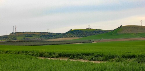 Figure 2. North cornice of El Aljarafe. View from Campo de Gerena. Source: Main author.