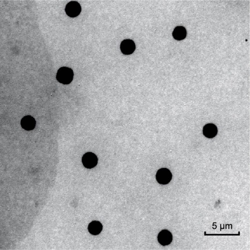 Figure 1 5FU microemulsion image in TEM.