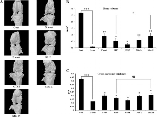 Figure 4. Combined effects of RHP and GTSE on bone volume and cross-sectional thickness in an OA rat model. Bone volume and cross-sectional thickness were measured using micro-CT and analyzed using CTAn SkyScan software. (A) Osteophyte analysis using micro-CT. (B) Combined effects of RHP and GTSE on bone volume in an OA rat model. (C) Combined effects of RHP and GTSE on cross-sectional thickness in an OA rat model. Data are expressed as the mean latency ± SEM. *P < 0.05; **P < 0.01; ***P < 0.001, significantly different from the negative control group, and #P < 0.05; ##P < 0.01; ###P < 0.001, significantly different from the RHP group.
