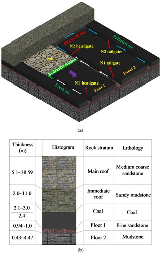 Figure 4. Working face layout and rock stratum histogram. (a) Working face layout and (b) stratum histogram of coal and rock.