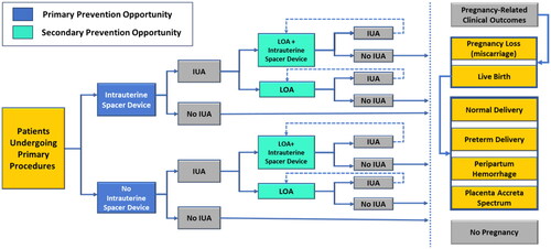 Figure 3. Decision tree model framework. Abbreviations. IUA, intrauterine adhesion; LOA, lysis of adhesions
