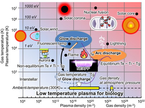 Figure 1. Logarithmic diagram of plasmas in density and temperature; Te, Ti, and Tg are the temperatures of electrons, ions, and gases, respectively (thermal plasmas are in an equilibrium state of Te, Ti, and Tg; contrarily, the low temperature or non-thermal or cold plasmas are in a non-equilibrium state among Te, Ti, and Tg. that electrons are differently heated up; the non-equilibrium atmospheric pressure plasma (NEAPP) source can prepare plasmas at ambient temperature under atmospheric pressure for plasma-biological treatments of living organisms and liquids).