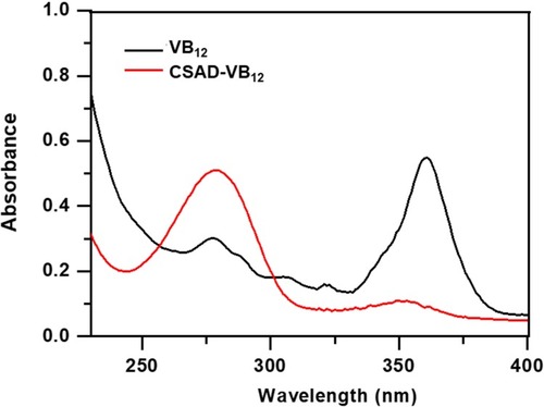 Figure 3 UV-vis spectra of VB12 and the CSAD-VB12 derivative.