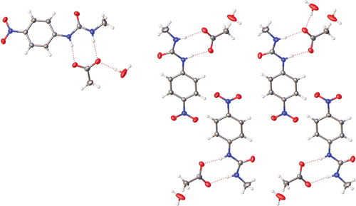 Figure 7. Solid-state molecular structure from single crystal X-ray diffraction of 1·TBA·CH3CO2·H2O showing hydrogen bonding (left) and crystal packing (right) with TBA counterions removed for clarity.
