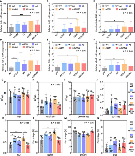 Figure 7 Inflammatory factors mRNA expression in lung tissue detected by RT-PCR and hematological data for differential cell counts and percentages in mice. (A) Abhd2Gt/Gt promoted the relative expression of IL-1α mRNA in lung. (B) Abhd2Gt/Gt promoted the relative expression of IL-1β mRNA in lung. (C) Abhd2Gt/Gt promoted the relative expression of IL-8 mRNA in lung. (D) The relative expression of TGF-β mRNA in lung of five groups. (E) Abhd2Gt/Gt promoted the relative expression of TNF-α mRNA in lung. (F) Abhd2Gt/Gt promoted the relative expression of NF-κB mRNA in lung. (G) White blood cell count. (H) Neutrophil count. (I) Lymphocyte count. (J) Eosinophil count. (K) Neutrophil to lymphocyte ratio. (L) Percentage of neutrophils in total leukocytes. (M) Percentage of lymphocytes in total leukocytes. (N) Percentage of eosinophils in total leukocytes. Multiple group comparisons were performed by ANOVA analysis and post hoc multiple comparisons were performed by Bonferroni method. *P < 0.05; **P < 0.01; ***P < 0.001; # P < 0.05, comparison of overall means among five groups (ANOVA).