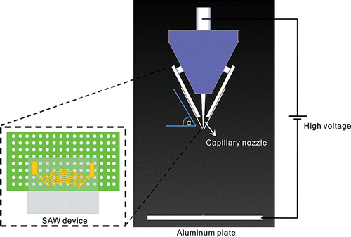 FIG. 1. Surface acoustic wave (SAW) spray system setup arrangement using triangular platform.