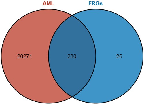 Figure 1. Wien diagram of FRGs and genes of AML in TCGA dataset