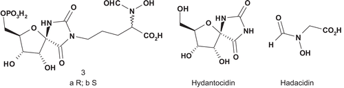 Scheme 2.  Bisubstrate hybrids hydantocidin monophosphate (HMP)/hadacidin for adenylosuccinate synthase.