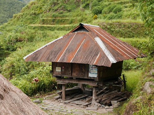 Figure 7. Traditional Ifugao house/granary on stilts. Photo credit: Dominic Glover.