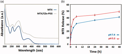 Figure 4. UV–vis absorption spectra of methotrexate (MTX) and MTX loaded PEG passivated carbon dots (MTX/CDs-PEG) (a) and cumulative in vitro release profiles of MTX from MTX/CDs-PEG (data are presented as mean ± standard deviation, n = 3) (b).