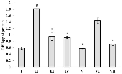 Figure 9. Inhibitory effect of G. acerosa benzene extract on Aβ 25–35 induced increase in β-secretase activity in mice brain tissue homogenate. The values are expressed as Mean ± SD. *p < 0.05 [Comparisons were made between groups II (Aβ 25–35 peptide treated) Vs I (CMC treated) & III (Aβ 25–35 peptide +200 mg/kg of extract in CMC), IV (Aβ 25–35 peptide +400 mg/kg of extract in CMC), V (400 mg/kg bw of extract), VI (Aβ 25–35 peptide + donepezil), VII (1 mg/kg bw of donepezil) Vs II (Aβ 25–35 peptide treated)].
