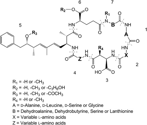 Figure 1. Structure of microcystins and some of the structural modifications that occur.