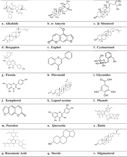 Figure 1. Phytochemicals of F. racemosa.