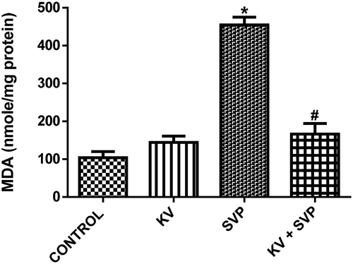 Figure 5. Protective effect of Kolaviron on VPA-induced toxicity on LPO (MDA) level in rats. Data represent the means ± SD for six rats in each group; * significantly different from the control; # significantly different from sodium valproate (P< 0.05)