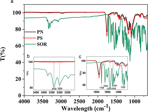 Figure 5 FTIR-ATR analysis of PLGA particles and pure SOR (a). The insets show a spectrum zoom between 3500–3200 (b) cm−1 and 2000–1230 cm−1 (c).