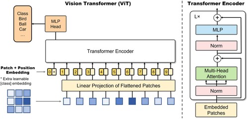 Figure 6. The overview of vision transformer's architecture (Dosovitskiy et al. Citation2020).