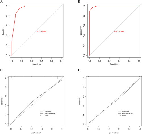 Figure 6. ROC curves and calibration curves of the nomogram. (A) ROC curve in the training cohort; (B) ROC curve in the validation cohort. (C) Calibration curve of the training cohort. (D) Calibration curve of the validation cohort.