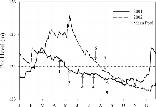 Figure 1 Daily pool elevation in Rend Lake during 2001 and 2002. Numbers indicate when water willow transplants occurred during the study and the pool elevation at the time of transplants as follows: (1) April 2001 root crowns, (2) May 2001 plugs, (3) June 2001 stem fragments, (4) July 2001 stem fragments, (5) August 2001 stem fragments, (6) July 2002 stem fragments and rooted stem fragments, and (7) August 2002 stem fragments and rooted stem fragments. Full pool elevation of Rend Lake is 124 m above sea level, as indicated by the dotted line.