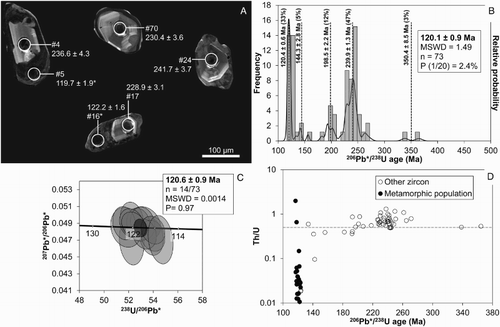 Figure 4. Davis Creek Paragneiss quartzofeldspathic gneiss (OU81996). A, Cathodoluminescence images of representative zircons. Asterisk indicates that the age is part of the metamorphic population. B, Combination stacked frequency histograms and Gaussian-summation probability density distribution plot. P (1/20) is the probability that a zircon population representing 5% of the zircons in the rock would be missed when analysing 76 grains at random (Dodson et al. Citation1988). C, Tera-Wasserburg concordia plot showing the 14 concordant analyses from the metamorphic population. Error ellipses are shown at the 1σ level. P = probability of concordance. Error on concordia age is 2σ. D, Th/U versus 206Pb*/238U age plot. The dashed line marks the minimum Th/U ratio (0.5) of typical magmatic zircon (Hoskin & Schaltegger Citation2003).