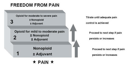 Figure 1 The World Health Organization cancer pain treatment step ladder.