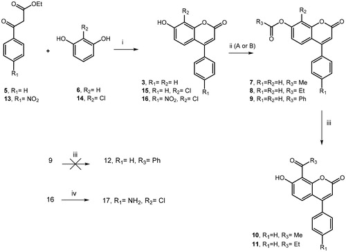 Scheme 1. (i) H2SO4, 0 °C to rt, 18–22 h; (ii) A: (MeCO)2O, H2SO4, Et3N, 0 °C to rt, 2 h; B: PheCOCl or EtCOCl, Et3N, DCM, rt, 24 h; (iii) AlCl3, 320 °C, 6 h; (iv) NH2NH2-H2O, Pd/C, EtOH, 70 °C, 1 h.