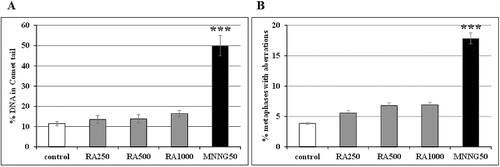 Figure 2. Genotoxic potential of R. alba L. essential oil in reconstructed karyotype MK 14/2034 of barley, analysed by: (A) A/N comet assay (leaf cells); (B) chromosome aberration assay (root tip meristem cells). Samples were treated with 250 µg/mL (RA250), 500 µg/mL (RA500) and 1000 µg/mL (RA1000) R. alba essential oil or 50 μg/mL MNNG (MNNG50); control: non-treated sample.