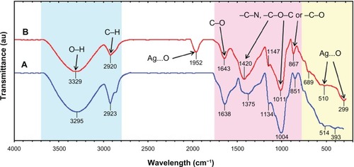Figure 7 Fourier-transform infrared spectra for the Curcuma longa tuber-powder extract (A) and Ag/C. longa (B) after 24 hours from biosynthesis reaction.