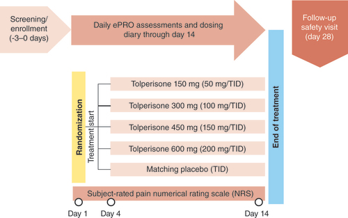 Figure 1. Diagram of study design for the STAR study.ePRO: Electronic patient reported outcomes; TID: Three times a day.Image provided by and redrawn from Neurana Pharmaceuticals, Inc.