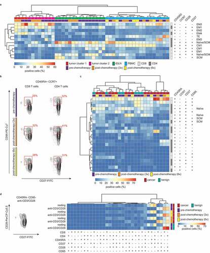 Figure 3. T-cell differentiation is heterogeneous across tissue types.