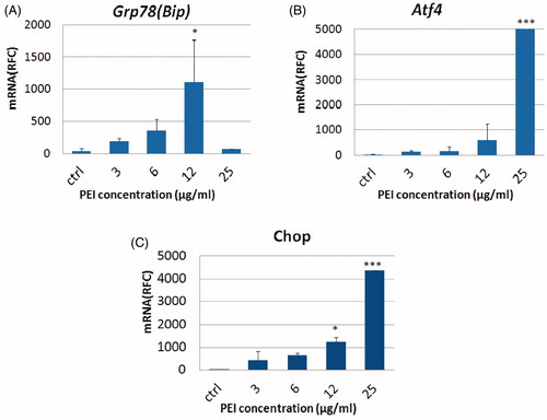 Figure 2. Effects of PEI on transcription level of ER-stress genes in Neuro2A cells. A) Grp78; B) Atf4; and C) Chop mRNA levels were assessed by real-time RT-PCR. The results are normalized against β-act as a housekeeping gene and are shown as means ± SEM. *: p < .05 and ***: p < .001 compared to control group, RFC: relative fold change; Treatments were performed in triplicates.