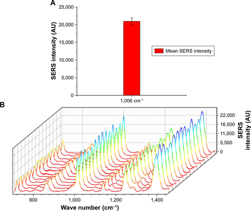 Figure S1 SERS intensity of KMA on Ag SNPs.Notes: (A) Average SERS signal intensity for the 1,006 cm−1 peak with error bar indicating SD; (B) individual spectra from different substrate locations indicate their high reproducibility.Abbreviations: KMA, keto-mycolic acid; SERS, surface-enhanced Raman scattering; SNPs, silicon nanopillars.