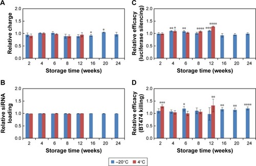 Figure 6 Charge, siRNA loading, luciferase silencing efficacy, and cancer cell killing of lyophilized nanoparticles stored at various times and temperatures.Notes: All values were normalized against those of freshly made material from the same batch. All conditions were the same as in Figure 5 except storage temperature was −20°C or 4°C. (A) Charge of siRNA-nanoconstruct (T-siRNA-NP) measured in 10 mM NaCl. (B) siRNA loading of lyophilized nanoparticles; all loaded at an NP/siRNA mass ratio of 50. (C) Silencing of luciferase in LM2-4luc+/H2N upon treatment with 30 nM siLUC loaded on lyophilized T-NP at 48 h after treatment. (D) BT474 cell viability following treatment with 60 nM siHER2 loaded on lyophilized T-NP, at 5 days post transfection. All were benchmarked against scrambled siRNA (siSCR) and normalized to values from freshly made material. Statistical significance is evaluated against the fresh material. *p<0.05; **p<0.01; ***p<0.001; ****p<0.0001.Abbreviation: NP, nanoparticle.