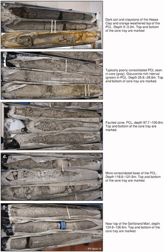 Figure 10. Key features of the Hesse Clay, Port Campbell Limestone and top of Gellibrand Marl in Brumbys 1. Core tray lengths are 1 m.