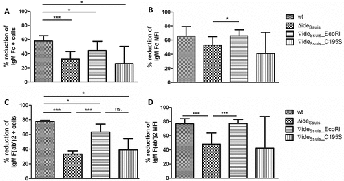 Figure 5. IgM cleavage by IdeSsuis reduces surface bound F(ab‘)2 and Fc antigen of porcine IgM. S. suis strain 10 (wt), 10∆ideSsuis (∆ideSsuis), 10∆ideSsuis∇ideSsuis_EcoRI (∇ideSsuis_EcoRI), 10∆ideSsuis∇ideSsuis_C195S (∇ideSsuis_C195S) were incubated in a porcine anti-S. suis serotype 2 hyperimmune serum for 0.5 hours at 4°C and then for four hours at 37°C. Bacteria were stained with IgM F(ab‘)2 and IgM Fc specific antibodies and measured by flow cytometry (n = 7) before and after incubation at 37°C. (a) Reduction of the percentage of IgM Fc positive bacteria. (b) Reduction of the geometric mean fluorescence intensity (MFI) of the IgM Fc signal. (c) Reduction of the percentage of IgM F(ab‘)2 positive bacteria. (d) Reduction of the geometric mean fluorescence intensity (MFI) of the IgM F(ab‘)2 signal. The reduction in IgM labeling was calculated by subtracting the percental amount or MFI of IgM positive bacteria after a four-hour incubation period at 37°C from an initially one hundred percent positive population before incubation at 37°C. Bars and error bars indicate mean and standard deviation. Asterisks indicate significant differences. Probabilities were considered as follows p < 0.05 *, p < 0.01 **, p < 0.001 ***.