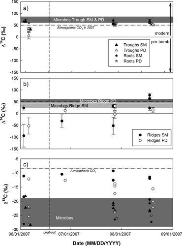 Figure 4 Seasonal pattern of the Δ14C signatures of soil, root respiration, and microbial respiration at South Mountain and Polar Desert in (a) troughs and (b) ridges. Soil respiration Δ14C (average ± SD, n  =  3) are corrected for contributions of CO2 in ambient air based on observed δ13C ratios (panel c), using either the δ13C of root respiration (−28‰ in June, −26‰ in July and August) or the range of δ13C of microbial respiration (−19 to −29‰) as a proxy for the δ13C of soil respiration. (c) Seasonal pattern of observed δ13C ratios of soil, root respiration, and microbial respiration at South Mountain and Polar Desert. Symbols represent point measurements of soil or root respiration, horizontal bars indicate observed range of microbial respiration at 0–10 cm soil depth (average ± SE). Dash-dotted lines indicate Δ14C or δ13C ratios of CO2 in ambient air (50.34 ± 0.65‰, −8.37 ± 0.11; n  =  7), and dashed line day of leaf-out.