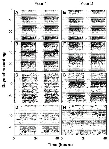 Figure 2 Representative actograms from healthy control (A and E), mildly demented (B and F) and moderately demented (C, G, D and H) subjects recorded first in year 1 (A ± D), and for the same subjects at follow-up in year 2 (E ± H).From Hatfield CF et al. Disrupted daily activity/rest cycles in relation to daily cortisol rhythms of home-dwelling patients with early Alzheimer’s dementia, Brain, 2004, 27, part 5,1061–74, by permission of Oxford University Press.Citation178