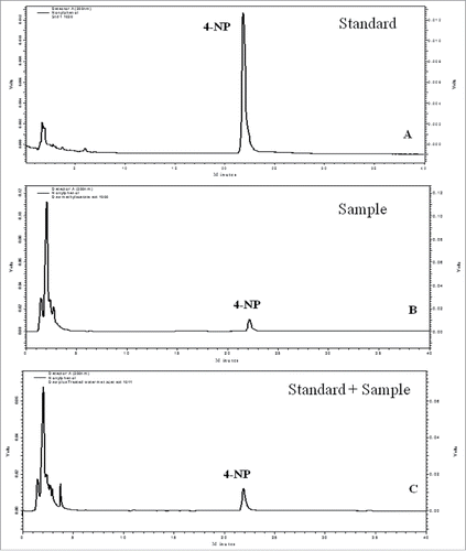 Figure 2. Representative HPLC chromatograms showing elution profile of: (A) standard (4-NP), (B) sample (Dashaswamedh ghat) and (C) standard + sample. Chromatographic conditions: volume: 20μL, column: C18 reverse phase [Luna (2) 150 X 45 mm i.d, 5μm], mobile phase (A) water and (B) acetonitrile, run time: 40 min, flow rate: 1ml/min, detection: UV 280 nm. In Y-axis, scales are not the same.