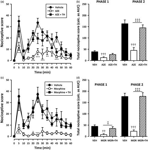 Figure 6. Effect of pretreatment of rats with theophylline on the anti-nociceptive effects of AZE (100 mg/kg, p.o.) (a, b) and morphine (3 mg/kg, i.p.) (c, d) in the formalin test. Left panels show the time course of effects over the 60 min period and the right panels show the total nociceptive score calculated from AUCs over the first (0–10 min) and second (10–60 min) phases. Values are means ± S.E.M. (n = 5). *p < 0.05; **p < 0.01; ***p < 0.001 compared to vehicle-treated group (Two-way ANOVA followed by Tukey’s multiple comparison test). ††p < 0.01; †††p < 0.001 compared to vehicle-treated group; ‡p < 0.05; ‡‡‡p < 0.001 compared to AZE 100 mg/kg or morphine 3 mg/kg (One-way ANOVA followed by Tukey’s multiple comparison test).