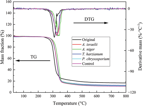 Figure 6. TG and DTG curves of the PLA composites before and after degradation for 28 days by different microorganisms.