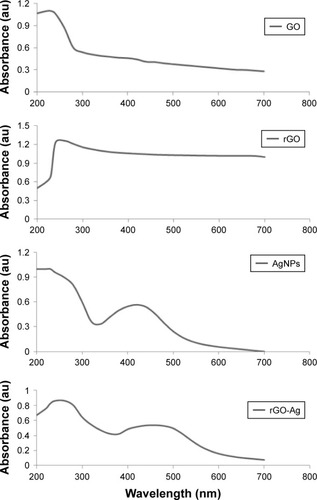 Figure 1 Synthesis and characterization of GO, rGO, AgNPs, and rGO-Ag nanocomposites using UV–vis spectroscopy.Notes: Spectra of GO exhibit a maximum absorption peak at ~230 nm, corresponding to the π–π transitions of aromatic C−C bonds. The absorption peak for rGO is red-shifted to 261 nm. AgNPs show a typical characteristic peak at 420 nm. A new peak at 420 nm is observed after deposition of AgNPs on the rGO surface; the band at 420 nm in the absorption spectrum of the rGO-Ag nanocomposites is attributed to surface plasmons and the presence of AgNPs. At least three independent experiments were performed for each sample, and reproducible results were obtained. The data present the results of a representative experiment.Abbreviations: GO, graphene oxide; rGO, reduced graphene oxide; AgNPs, silver nanoparticles; rGO-Ag, reduced graphene oxide-silver.