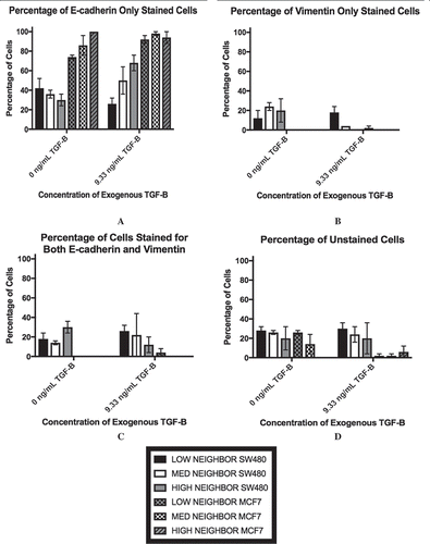 Figure 5. The percentage of SW480 cells that stained for E-cadherin only (a), vimentin only (b), both markers (c), and neither marker (d) in cell populations that are 30% confluent during immunocytochemistry are shown. The distance threshold is the average neighbor distance +1 standard deviation for each cell line is shown. Like the flow cytometry results, the existence of a dual-staining population of SW480 cells is apparent while the MCF7 cells lack this subpopulation. Further, at all three levels of cellular contact, both with and without exogenous TGF-β, the MCF7 cells exhibit a high amount of staining for E-cadherin only.