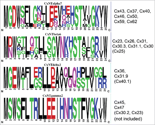 Figure 1. Frequency histogram sequence logos, generated using weblogo v2.8.2, for the amino-terminal (NT) domains of 7 α-group, 6 β-group, 2 delta-group, and 2 gamma-group connexins based on the current connexin classification nomenclature.Citation7,41 Connexin sequences not included in the analyses are indicated in parentheses. Disparate (e.g., G2) and conserved α/β-group (e.g D2/3 and W3/4) connexin NT sequences were subjected to site-directed mutagenesis and analyzed for function.