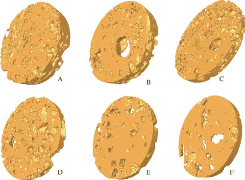 Figure 2 Three-dimensional images of formulated batter coating of fried chicken nuggets: (A) 100% wheat flour; (B) 100% wheat flour plus 1% carboxymethyl cellulose (CMC); (C) 70% wheat flour + 30% rice flour + 1% CMC; (D) 50% wheat and rice flours + 1% CMC; (E) 30% wheat flour + 70% rice + CMC; (F) 100% rice flour + 1% CMC. (Figure provided in color online.)