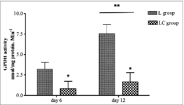 Figure 6. Glycerol 3-phosphate dehydrogenase activity of intermuscular adipocyte cultures at 6 and 12 d of culture from steers that grazed legume pastures with (LC) or without (L) corn grain supplementation (0.75% of body weight/d). *Within a time point, LC group differs from L group (P < 0.05). **Time means differ from 24 h (P < 0.05).