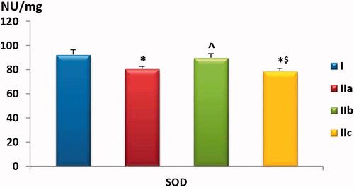Chart 5. Comparison of muscle homogenate SOD level among the study groups. Values are presented as mean ± SD. Statistically significant (p < .05) as compared to the corresponding value in *group I, ^group IIa and $group IIb.