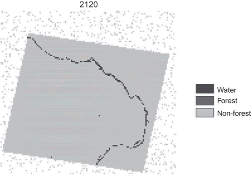 Figure 7. Spillovers outside the study area, 2120. The study area is the inclined, solid gray rectangle. It was forecasted as totally deforested by 2120. Spillovers, the gray scattered pixels on the background, were deforestation overflowing from the study area as a result of momentum gathered by ranching, and areas susceptible to deforestation are already deforested. That is, because of continuing deforestation, the forecast had to allocate more non-forest pixels than available inside the study area. Spillovers are shown with a random pattern. However, the northward expansion of humans into Amazonia and the non-random deforestation in Alta Floresta both suggest that randomness is inadequate in forecasting spillovers. To overcome this difficulty, the same prediction and forecast as in Alta Floresta need to be carried out in a larger study area comprising both Alta Floresta and additional satellite tiles to the north. At this wider scale, predictors of deforestation may need to include ecotone areas which have both moist and dry characteristics and so favor vegetation growth while allowing for fire controlled pastures. These ecotone characteristics are precisely one of the attractive features of the arc of deforestation for agriculture. It is important to note that spillovers are likely to occur before forest exhaustion in Alta Floresta.