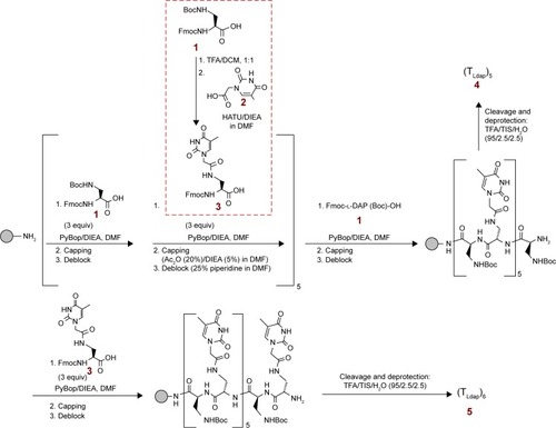 Figure 2 Schematic representation of the synthesis of the nucleobase-decorated peptides.Abbreviations: Boc, tert-butoxycarbonyl; Fmoc, 9-fluorenylmethoxycarbonyl; TFA, trifluoroacetic acid; DCM, dichloromethane; HATU, O-(7-aza-1H-benzotriazol-1-yl)-N,N,N′,N′-tetramethyluronium hexafluorophosphate; DIEA, N,N-diisopropylethylamine; DMF, N,N-dimethylformamide; PyBOP, benzotriazol-1-yl-oxytripyrrolid-inophosphonium hexafluorophosphate; Ac2O, acetic anhydride; TIS, triisopropylsilane.