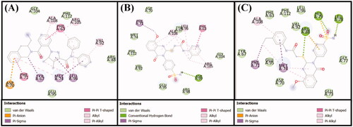 Figure 9. Molecular docking of (A) the control ligand DRO, (B) compound 6, and (C) compound 10, with the Bcl-2 protein.