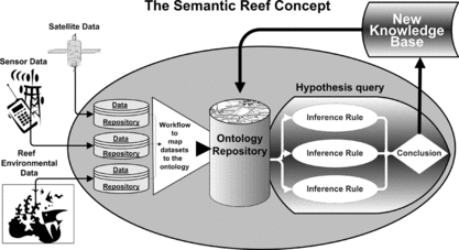 FIGURE 2 The semantic reef workflow concept.